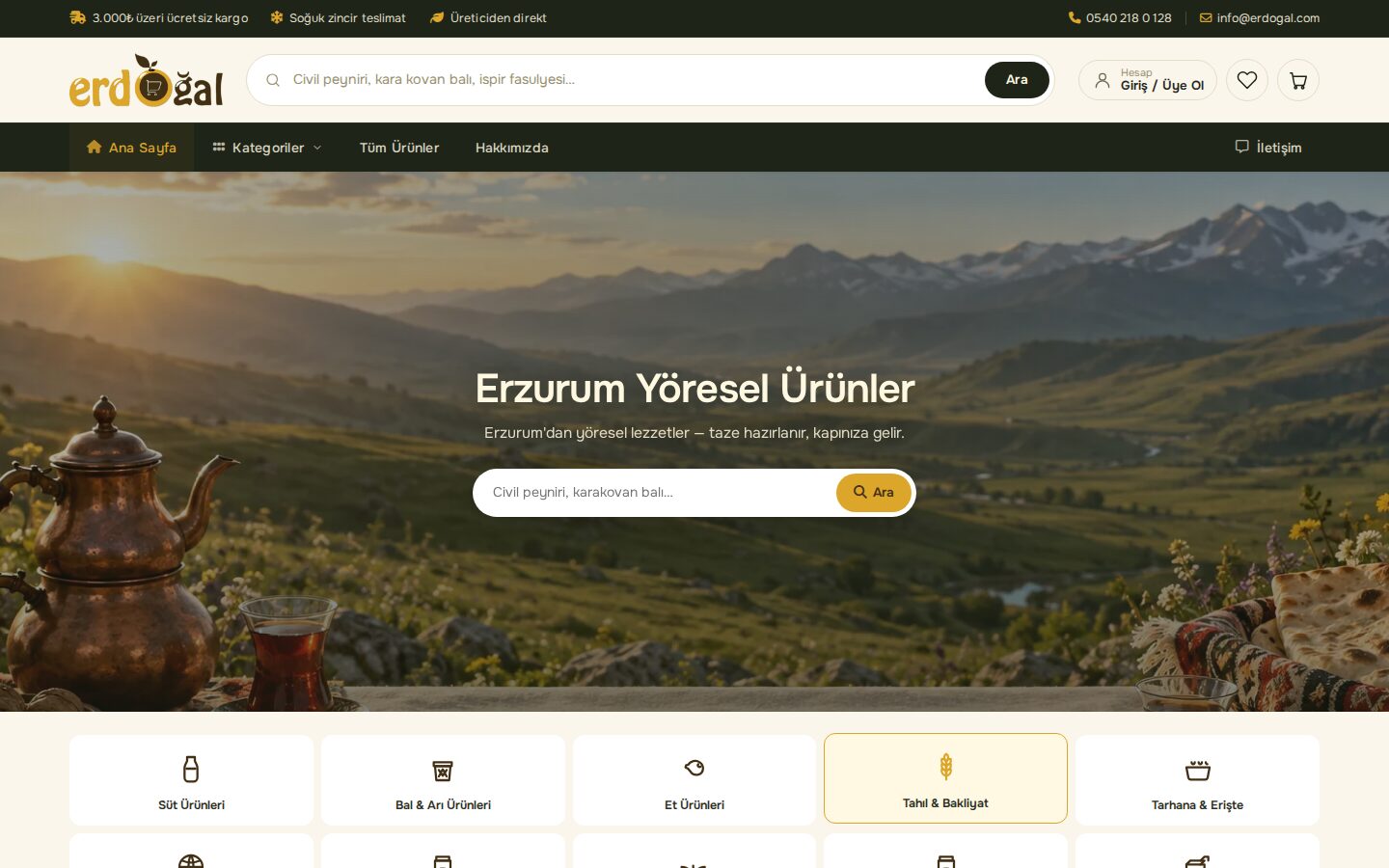 Erdoğal website desktop view
