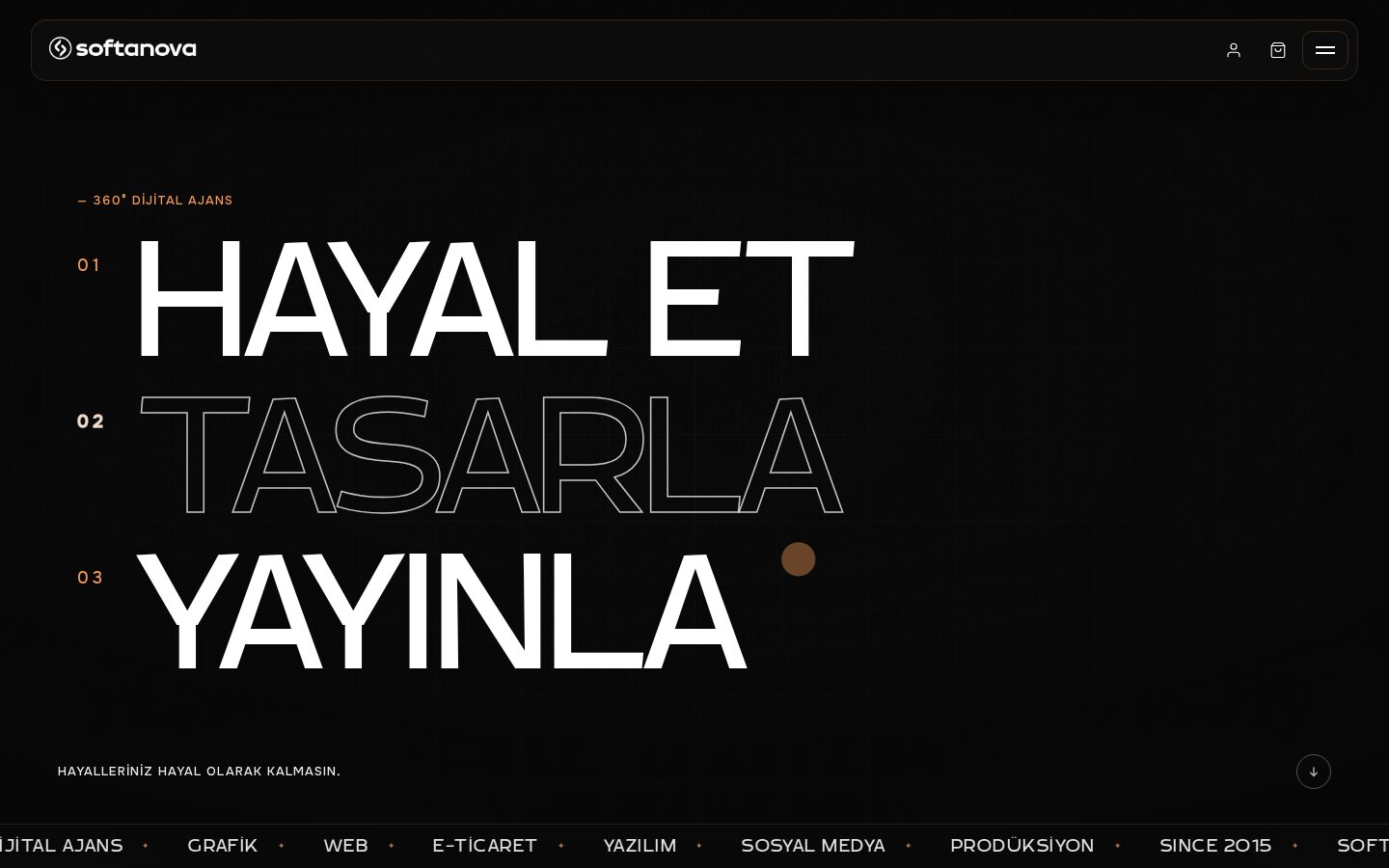 Softanova website desktop view